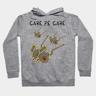 Care pe care Hoodie